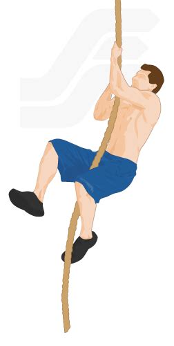 Rope Climbing Exercise for Strength & Conditioning - Bodyweight Exercises - Fitstream