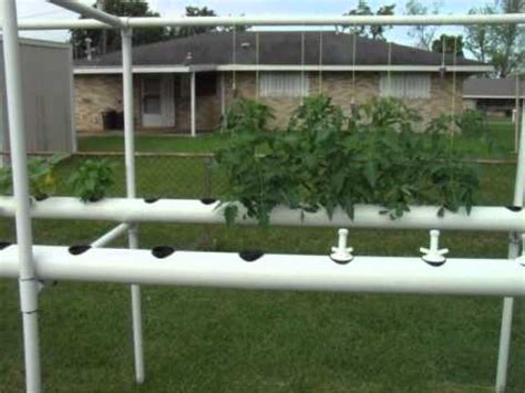 My Pvc Pipe Hydroponic Garden Explained Youtube