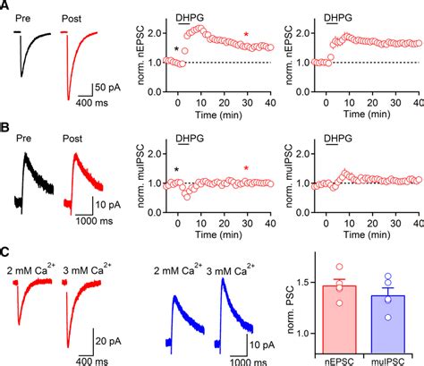 Group I MGluR Activation By DHPG Induces Long Term Potentiation Of