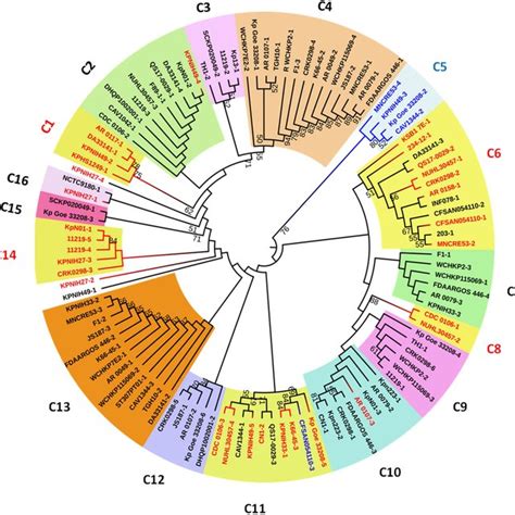 Phylogenetic Tree Of Klebsiella Pneumoniae Associated Prophages The Download Scientific