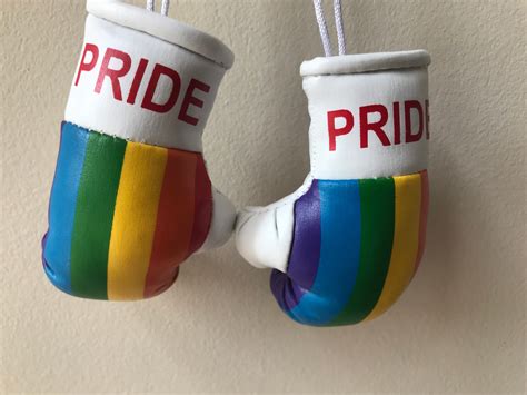 Pride Rainbow Flag Mini Boxing Gloves And Mini Boxing Gloves Etsy