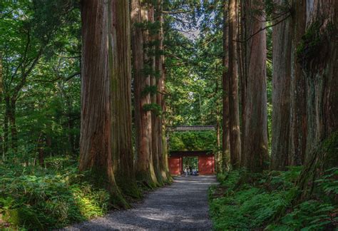 東京迪士尼度假區 成田機場 長野 路线及时刻表 长野地区的观光路线与时刻表 欢迎使用alpico Group官网查询开往长