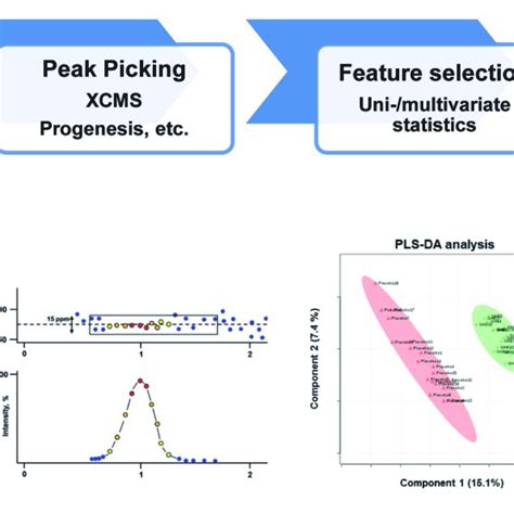 Schematic Of A Typical Untargeted Metabolomics Workflow Including