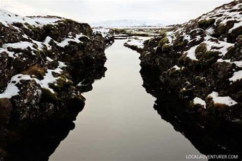 Silfra Snorkeling Experience in Iceland - What You Need to Know Before You Go