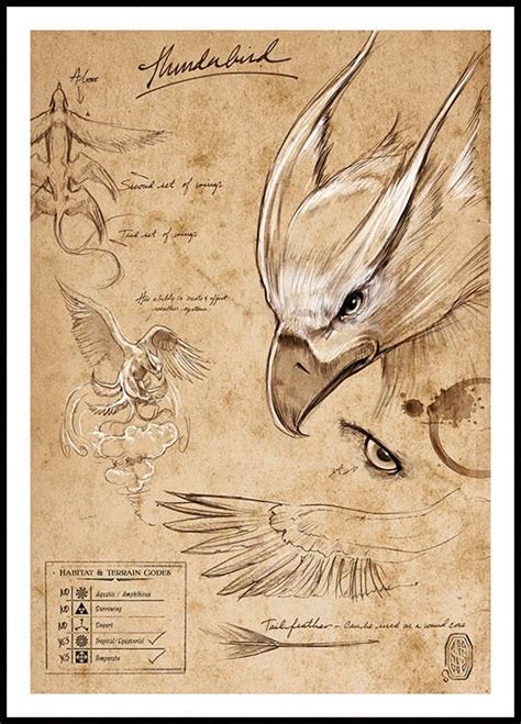 Fantastic Beasts™ Thunderbird Sketch Poster Harry Potter Creatures
