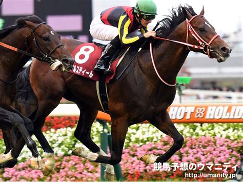 【2歳新馬・函館5r】リアルスティール産駒ドナベティが武豊騎手に導かれデビュー勝ち｜競馬ニュース｜競馬予想のウマニティ