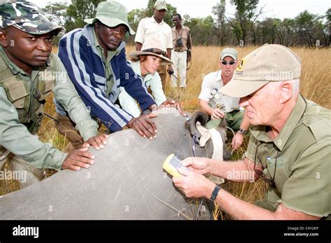 Veterinarians Vets African Vets Operating Operation Wild Animal