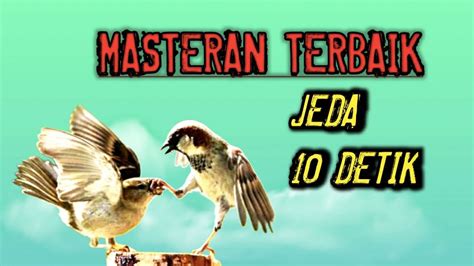 Masteran Gereja Tarung Terbaik Jeda Detik Suara Jernih Gerejatarung