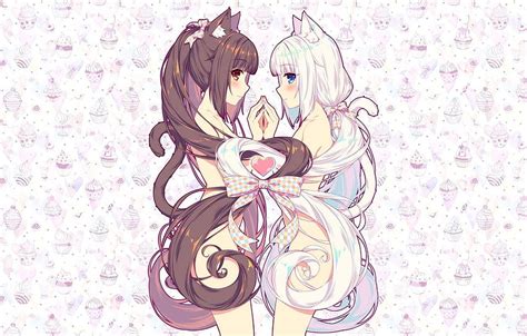 Girls Anime Neko Nekopara Cute Ecchi Cute Anime Cat Girl Hd