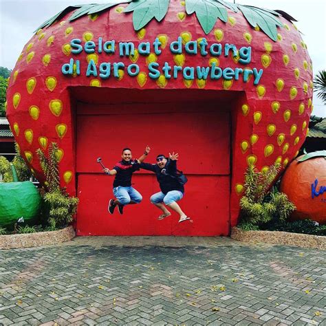 harga tiket masuk kusuma agro wisata malang januari  wisata milenial