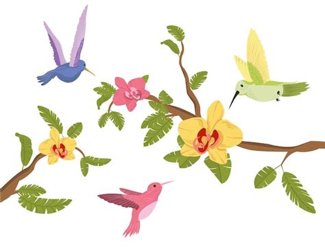 Pájaros con ramas | Vector Premium