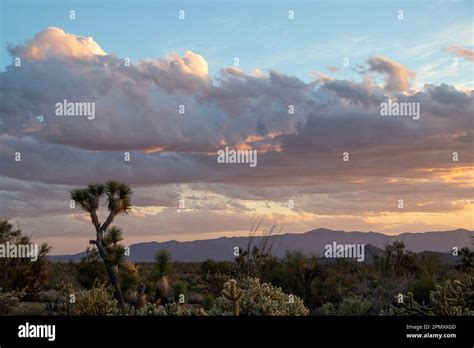 Dawn Desert Hi Res Stock Photography And Images Alamy