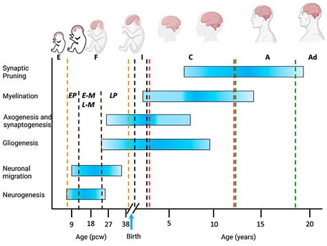 Ijms Free Full Text A Survey On The Expression Of The Ubiquitin