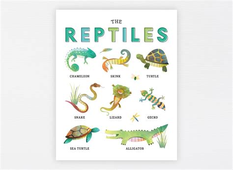 Reptiles Lesson Plans Ell S Class