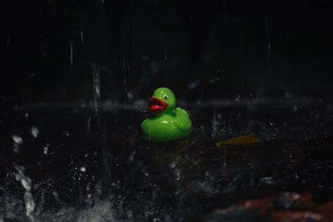 Splish Splash Duck By Seiden Kaczka On Deviantart