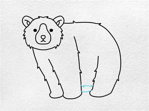 How To Draw A Bear For Kids Step By Step