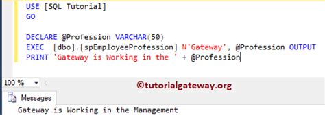 Output Parameters In Sql Stored Procedure