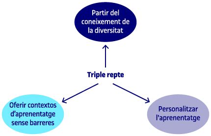 La Programaci A Partir Del Disseny Universal Per A L Aprenentatge Dua