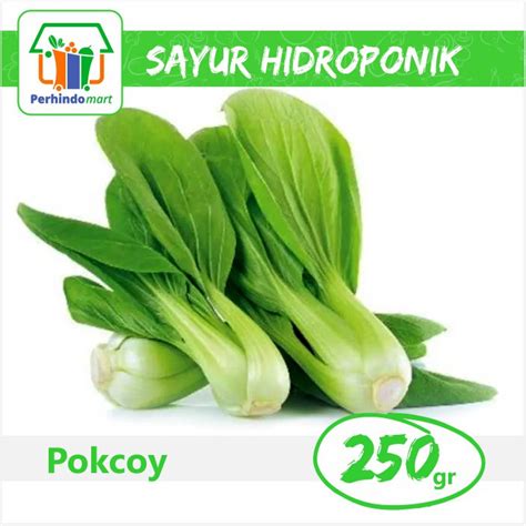 Jual Sawi Pokcoy Hidroponik Surabaya Sidoarjo Shopee Indonesia