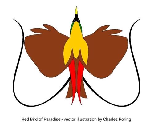 Plagiat Cenderawasih merah Logo Papua Tengah