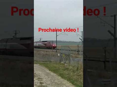 Tgv Thalys Sur La Lgv Nord Sncf Tgv Ter Train France Foryou