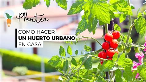 Guía completa de pasos para cultivar un jardín de hortalizas productivo