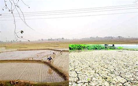 Six Northern Districts Of Bangladesh Are At Risk Of Severe Drought