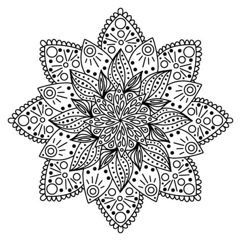 Premium Vector Floral Hand Drawn Aster Mandala Flowers In Doodle