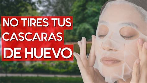 10 Sorprendentes usos de las cáscaras de huevo YouTube