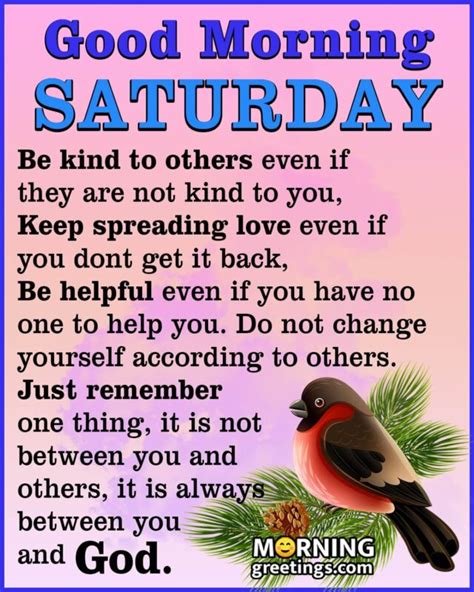 50 Splendid Saturday Quotes Wishes Pics Morning Greetings Morning Quotes And Wishes Images