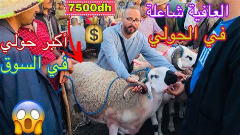 العافية شاعلة اليوم في سوق السبت أولاد النمة 🇲🇦ثمن أكبر حولي 🐏 في السوق