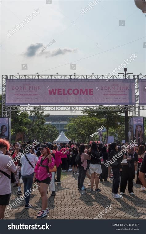 37 Blackpink Concert 2023 Images, Stock Photos & Vectors | Shutterstock