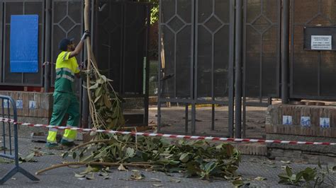 Muere un hombre tras caerle una rama mientras podaba un árbol en su