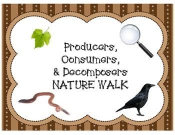 Nature Walk Producer Consumer And Decomposers Organizer