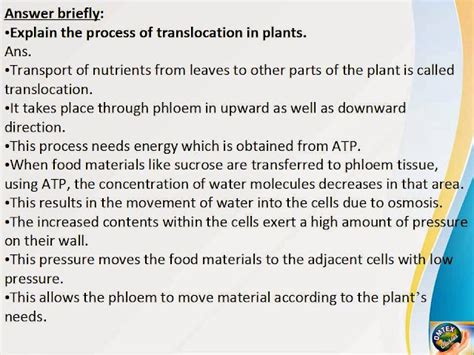 OMTEX CLASSES: Explain the process of translocation in plants.