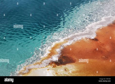 Mammoth Hot Spring Stock Photo Alamy