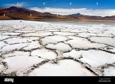 Atacama desert chile salt flats hi-res stock photography and images - Alamy