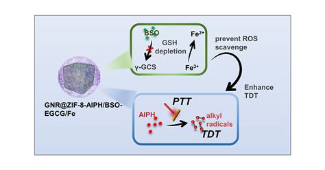 Amplification Of Oxygen Independent Free Radicals Based On A