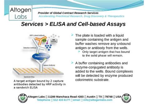 Activity Ppt 66692 Altogen Labs Elisa Service Cell Assay Development