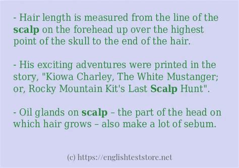 Scalp Use In Sentences EnglishTestStore Blog