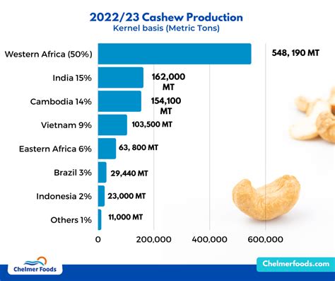 Cashew Market Report Chelmer Foods