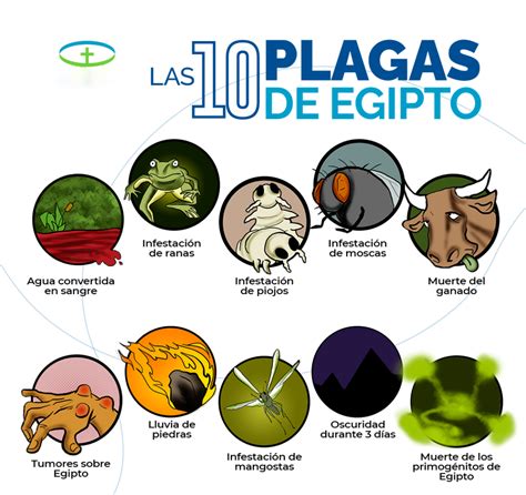 ¿cuáles Fueron Las 10 Plagas De Egipto Preguntale A La Biblia