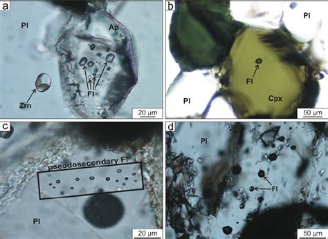 Photomicrographs Of Fluid Inclusions Fi From Different Generations