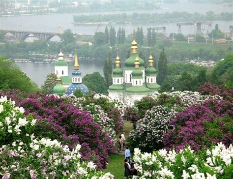 Национальный ботанический сад в Киеве | National botanical gardens ...