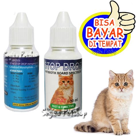 Jual Antibiotik Kucing Kitten Obat Flu Deman Stop Drop Shopee Indonesia