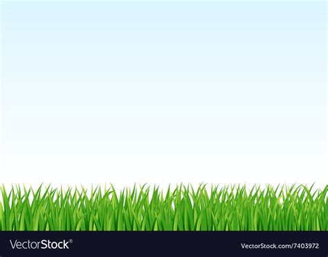 Grass Royalty Free Vector Image Vectorstock