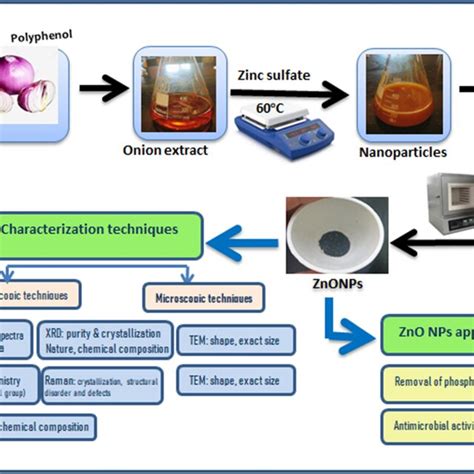 Characterization Of The Biosynthesized ZnO NPs A B Represents The SEM