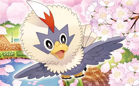 [100+] Rufflet Wallpapers | Wallpapers.com