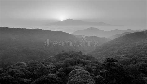 Sunrise in the Mist, Black and White Image Stock Photo - Image of ...