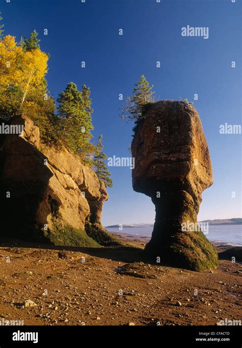 Distinctive Eroded Rock Formations Hopewell Rocks Provincial Park New